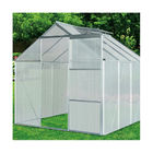 0.9mm Aluminium Frame Greenhouse Poly Carbonate Clip Free 6ft x 8ft 8ft x 8ft10ft x 8ft